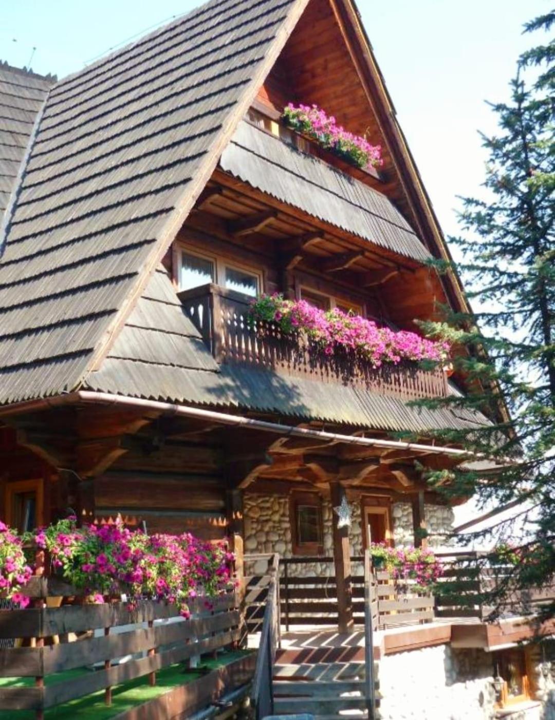 Hotel Bukovina Concept Mountain Bukowina Tatrzańska Exterior foto