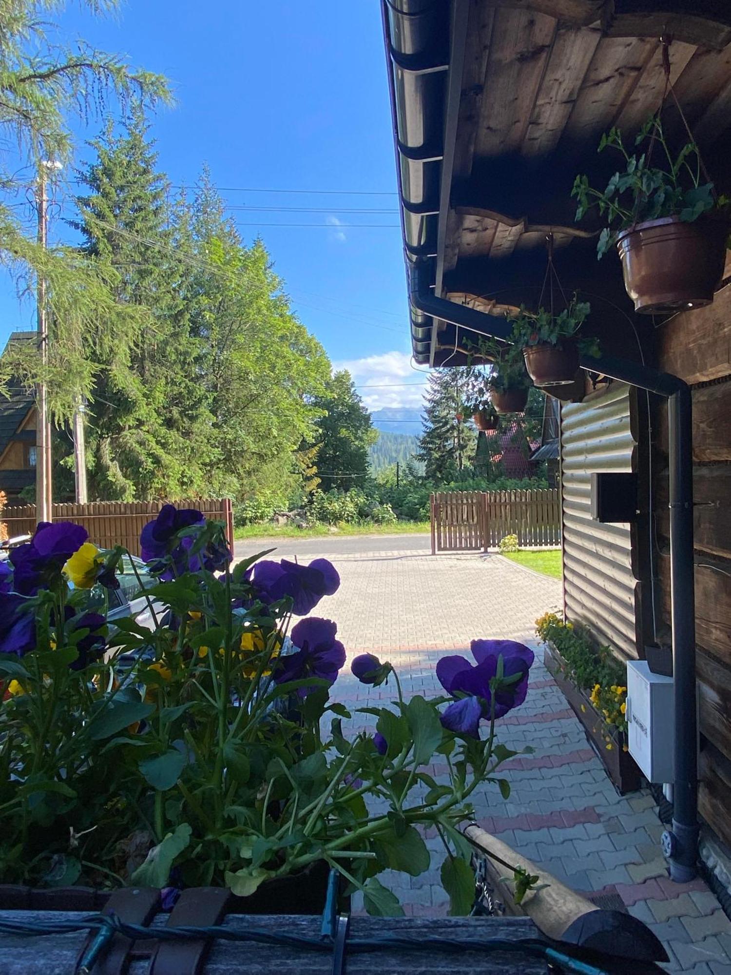 Hotel Bukovina Concept Mountain Bukowina Tatrzańska Exterior foto